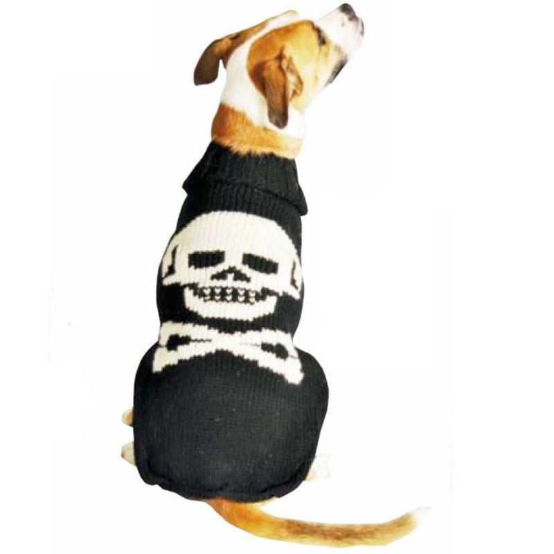 Dog wearing a black sweater with a skull design on a white background