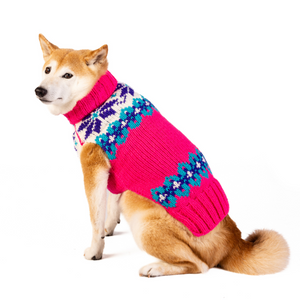 Dog wearing a pink sweater with floral patterns on a white background