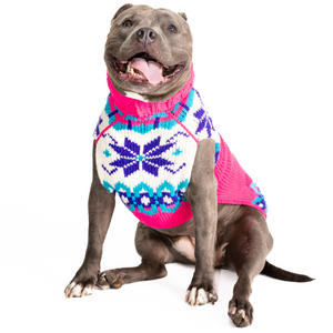 Dog wearing Elsa Dog Sweater with pink purple and turquoise hand-knit pattern a white background