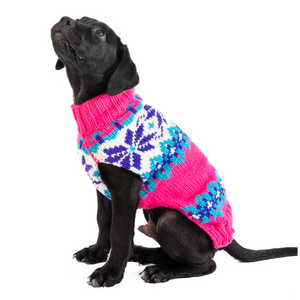 Black dog wearing a colorful pink knitted sweater on a white background