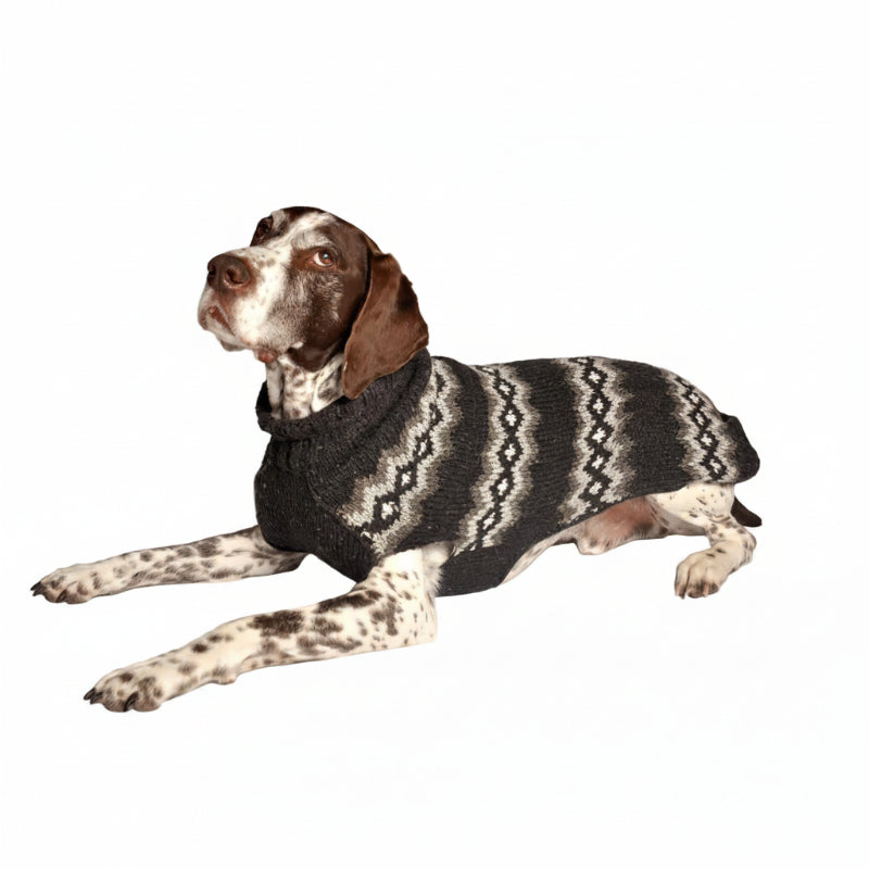 Dog wearing a gray nd white patterned sweater on a white background