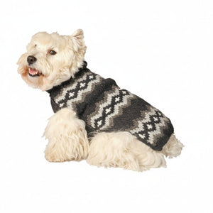 Dog wearing a gray nd white patterned sweater on a white background
