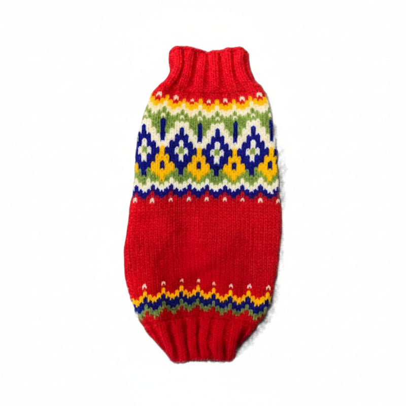 Labrador wearing a colorful red holiday sweater on a white background