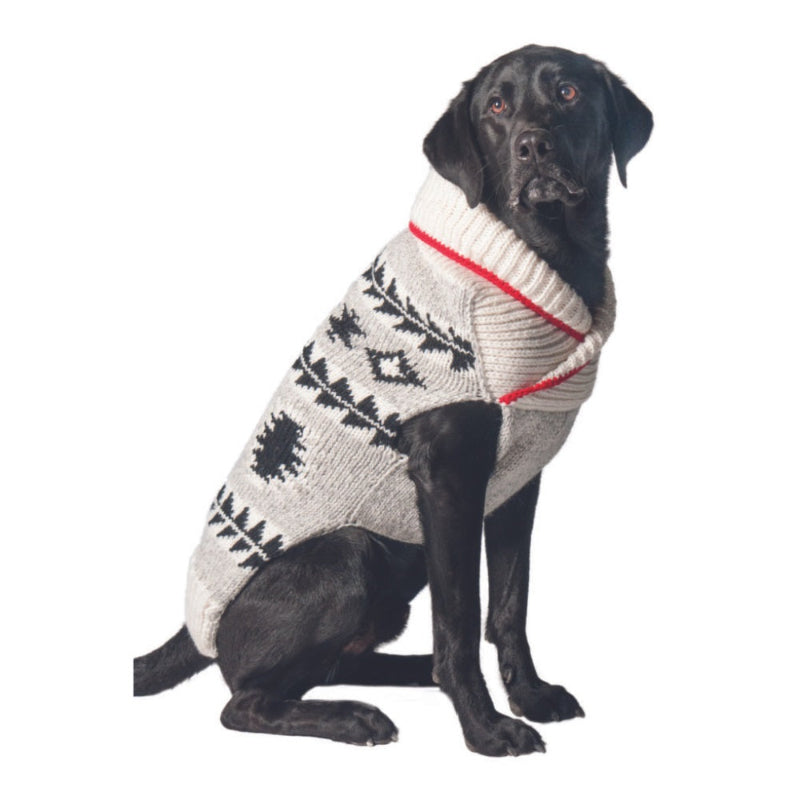 Black Lab wearing a gray patterned sweater on a white background