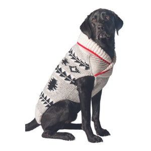 Black Lab wearing a gray patterned sweater on a white background