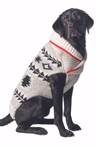 Black Lab wearing a gray patterned sweater on a white background