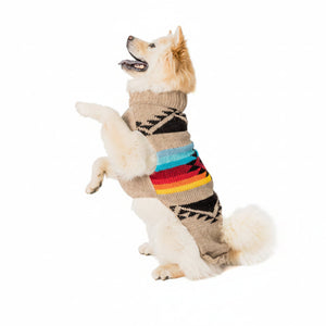 A cream-colored dog wearing a beige knit pet sweater with black geometric patterns and colorful horizontal stripes in blue, red, and yellow, set against a plain white background.