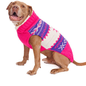 Bullldog wearing a pink and purple patterned sweater on a white background