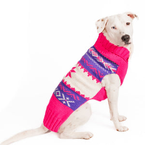 Pitbull wearing a pink and purple patterned sweater on a white background