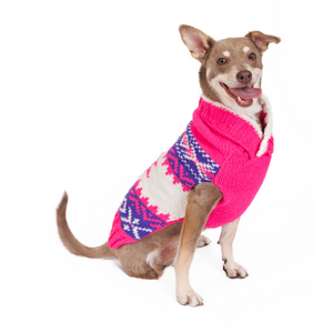 Dog wearing a pink and white patterned sweater on a white background