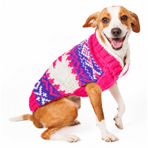 Beagle wearing a colorful sweater on a white background
