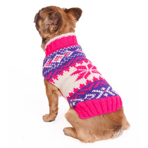 Frenchie wearing a pink and purple patterned sweater on a white background