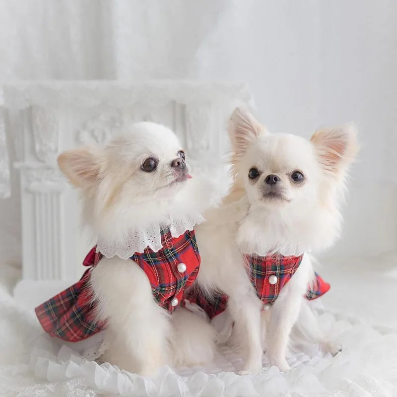 A small white fluffy dog wearing a red and green tartan plaid dress with a large red bow and white lace collar, sitting on a white ruffled surface in front of a white decorative fireplace.