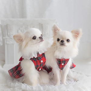 Two small white dogs wearing matching red tartan plaid pet dresses with white lace trim, posed together on a white ruffled surface against a soft white background.