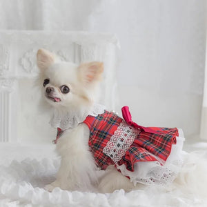 A small white fluffy dog wearing a red and green plaid dress with white lace trim and a pink bow, sitting on a white ruffled surface against a soft white background.