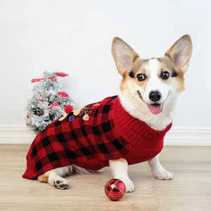 Corgi dog wearing a red and black checkered sweater with a Christmas tree in the background
