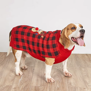 Beagle wearing a red and black checkered dog sweater