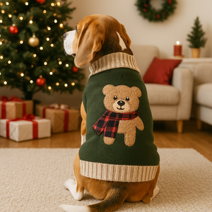 Beagle wearing a green sweater with a teddy bear design in a festive living room.
