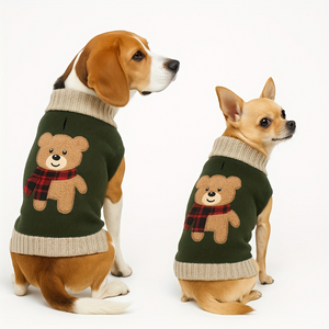 Two dogs wearing green sweaters with teddy bear designs on a white background
