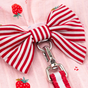 Red and white striped bow with a metal D-ring and matching striped leash