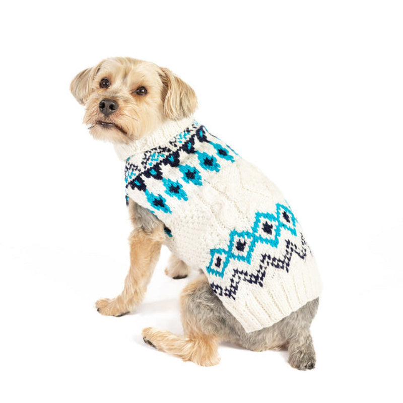 Pointer wearing a knitted sweater with a white base and teal and blue geometric pattern, sitting against a plain white background.