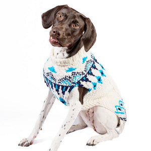 Pointer wearing a knitted sweater with a white base and teal and blue geometric pattern, sitting against a plain white background.