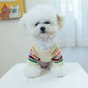 Small white dog wearing a colorful striped sweater on a light-colored surface.
