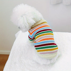 Dog wearing a colorful striped sweater sitting on a white surface.