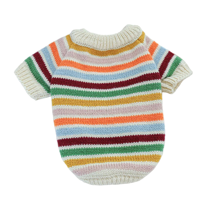 Colorful striped knitted dog sweater on a white surface 