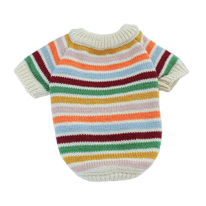 Colorful striped knitted dog sweater on a white surface 