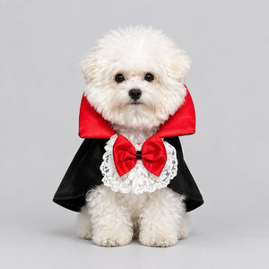 A small white dog wearing a vampire costume, featuring a black tuxedo jacket, a red collar, and a large red bow with a white lace ruffle.