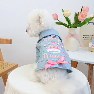 Dog wearing a denim jacket with 'Daddy's Princess' text and crown design, sitting on a chair with flowers in the background.