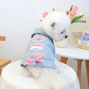 Small dog wearing a denim jacket with 'Princess' and a crown design, sitting on a white surface.