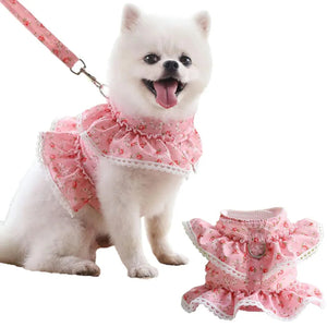 Pomeranian wearing a pink lace floral dog harness with a matching leash