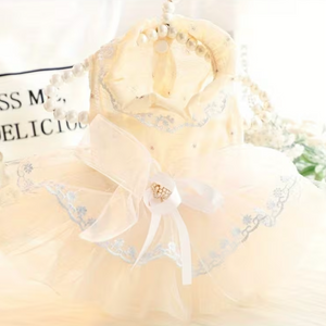 Champagne dress with floral lace details on a white background