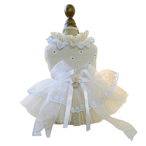 Dainty daisy tutu dog dress on a mannequin