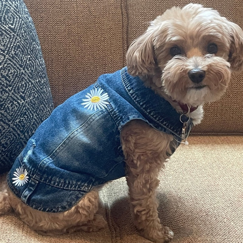denim dog dress Denim Blue Pet Dog Dress - Personalized Holiday Dog Dress - Patriotic Dog Dress With Flag and Fringes - Female Dog Clothes for Small Dogs