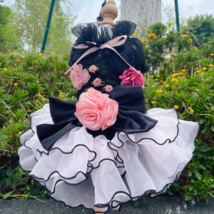 Designer Black Floral Dog Party Dress features bold pink roses on black with a white ruffled skirt