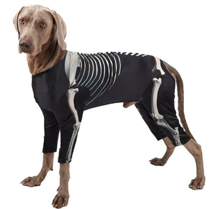 Halloween Dog Skeleton Costume for Large Dogs