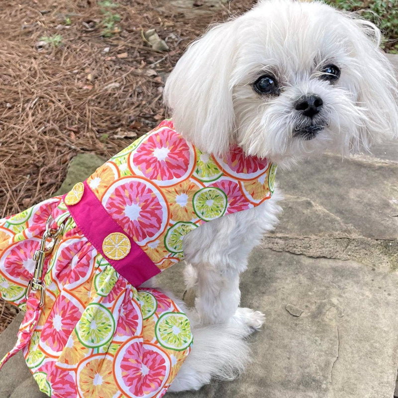 Doggie Design - Citrus Slice Dog Dress w/ Matching Leash is orange, pink, yellow and green