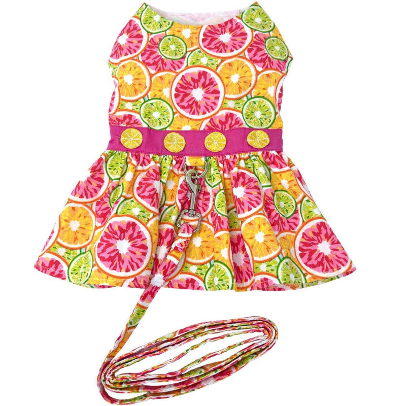 Doggie Design - Citrus Slice Dog Dress w/ Matching Leash is orange, pink, yellow and green