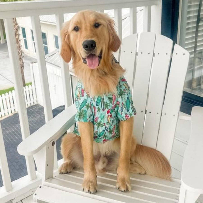 Doggie Design - Hawaiian Camp Shirt - Surfboards and Palms