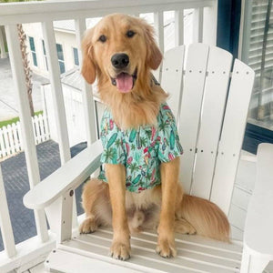 Golden Retriever in Doggie Design - Hawaiian Camp Shirt - Surfboards and Palms