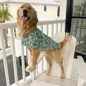 Golden Retriever in Doggie Design - Hawaiian Camp Shirt - Surfboards and Palms