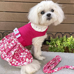 Maltipoo in Doggie Design - Pink Hibiscus Dog Dress w/ Matching Leash