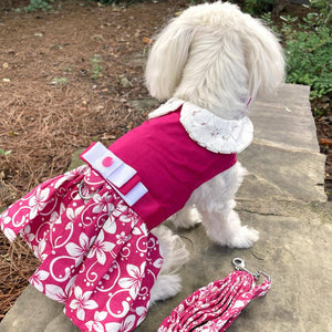 Maltipoo in Doggie Design - Pink Hibiscus Dog Dress w/ Matching Leash
