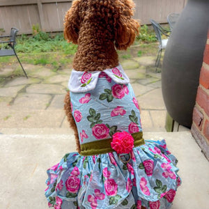 Poodle wearing Doggie Design - Pink Rose Dog Harness Dress w/ Matching Leash