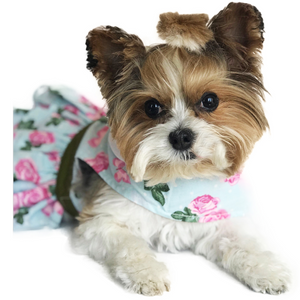 Yorkie puppy in Doggie Design - Pink Rose Dog Harness Dress w/ Matching Leash