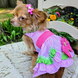 Chihuahua in Doggie Design - Watermelon Dog Harness Dress w/ Matching Leash