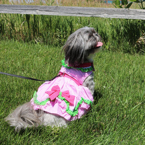 Shih Tzu in Doggie Design - Watermelon Dog Harness Dress w/ Matching Leash